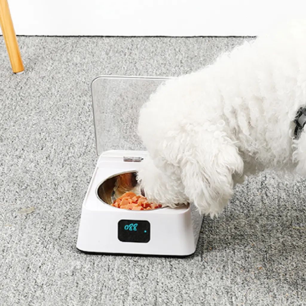Intelligent Automatic Feeder, Stainless Steel Infrared Sensor Automatic Induction Bowl for Pets 350ml USB Charging Sensor Feeder Suitable