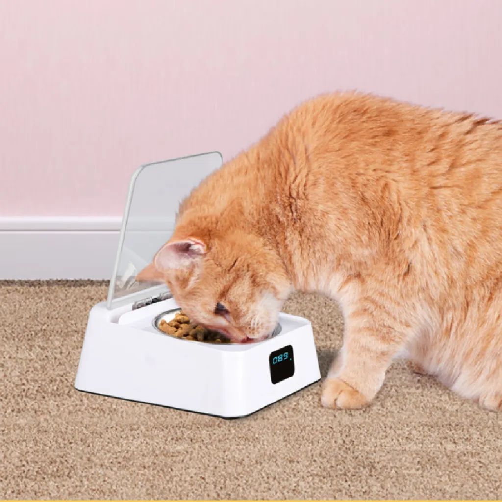 Intelligent Automatic Feeder, Stainless Steel Infrared Sensor Automatic Induction Bowl for Pets 350ml USB Charging Sensor Feeder Suitable