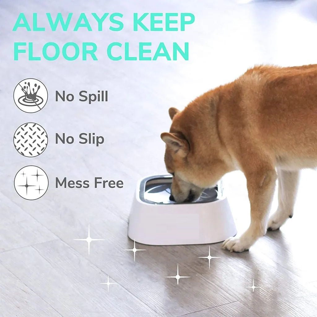 1L Water Bowl for Dogs and Cats Leak-proof Bowl Pet Drinking Bowl Drinking Fountain Pet Automatic Water Dispenser
