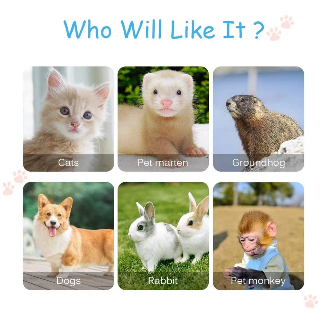 Pet Heated Blanket for Cats and Dogs, Pet Heated Blanket with Adjustable Temperature Controls, Waterproof Heating Mat with Anti-Break Bite Tube and Replaceable Felt Cover