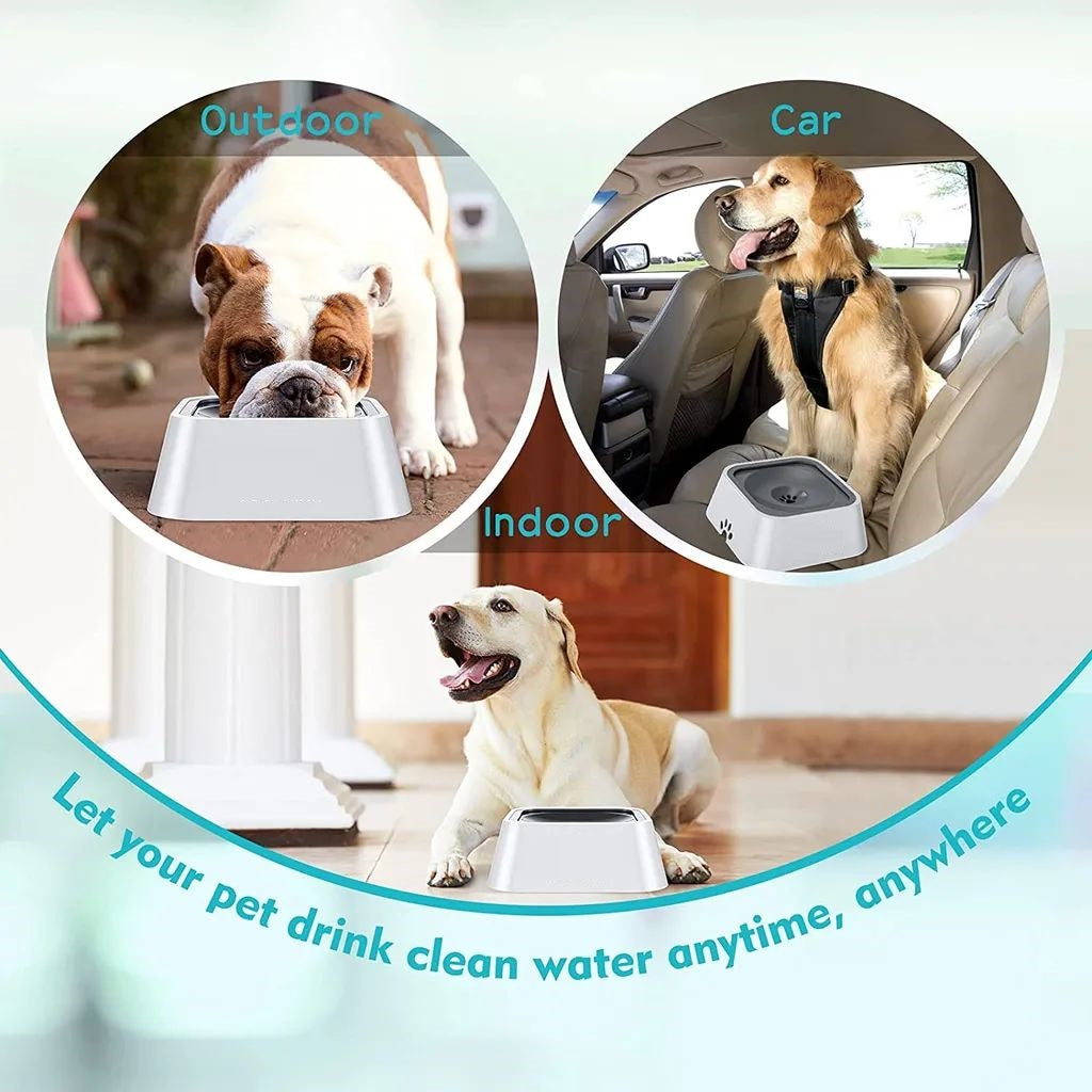 1L Water Bowl for Dogs and Cats Leak-proof Bowl Pet Drinking Bowl Drinking Fountain Pet Automatic Water Dispenser