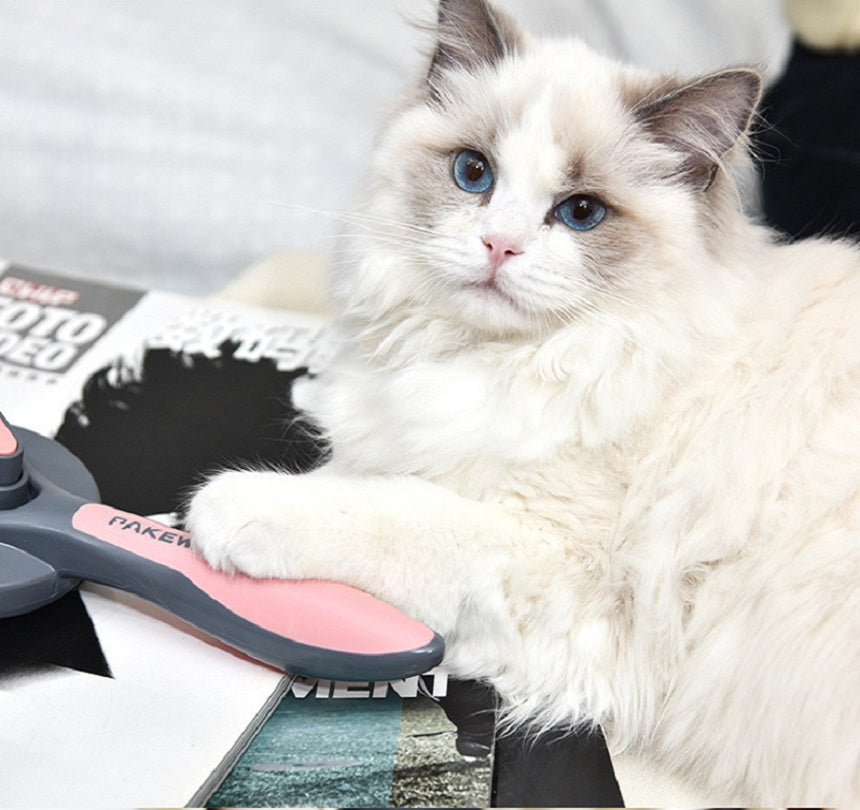 Pet dog brush, cat brush, pet brushes, hair remover pet brush for long hair and short hair, clean pet hair from the brush