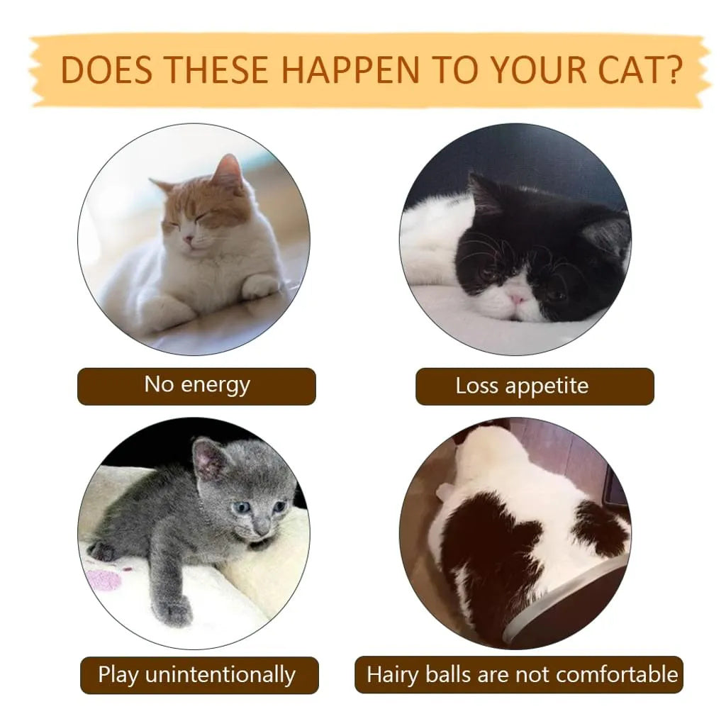 Cat Toy Fish, Catnip Electric Doll Fish, Simulation Electric Toy Fish with USB Charge, Interactive Toy for Pets (Silver Arowana)