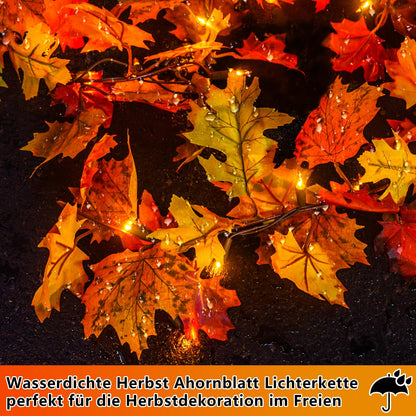Ciskotu Herbst Ahornblätter Lichterkette, 2.2+0.8M 31Licht Herbstgirlande Lichterkette Halloween Deko mit Stecker, Herbst Girlande dekoration Innen und Außen, für Erntedankfest, Halloween, Party